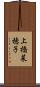 上橋菜穂子 Scroll