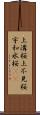 上溝桜 Scroll