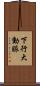 下行大動脈 Scroll