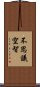 不思議空智 Scroll