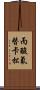 丙酸氟替卡松 Scroll
