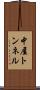 中屋トンネル Scroll