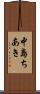 中島ちあき Scroll