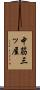 中筋三ッ屋 Scroll