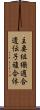 主要組織適合遺伝子複合体 Scroll