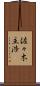 佐々木主浩 Scroll