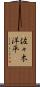 佐々木洋平 Scroll