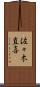 佐々木直喜 Scroll