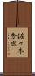 佐々木秀世 Scroll