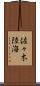 佐々木陸海 Scroll