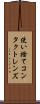 使い捨てコンタクトレンズ Scroll