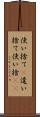 使い捨て(P) Scroll