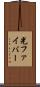 光ファイバー Scroll
