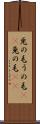 兎の毛 Scroll