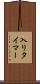 入りタイマー Scroll