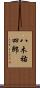 八木祐四郎 Scroll