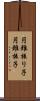 円錐振り子 Scroll