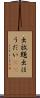 出放題 Scroll