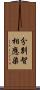 分別智相應染 Scroll