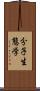 分子生態学 Scroll