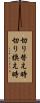 切り替え時 Scroll