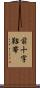 前十字靱帯 Scroll