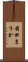 前田まりか Scroll