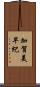 加賀美早紀 Scroll