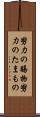 努力の賜物 Scroll