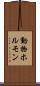 動物ホルモン Scroll