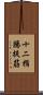 十二指腸提筋 Scroll