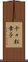 千々松幸子 Scroll