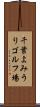 千葉よみうりゴルフ場 Scroll