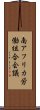 南アフリカ労働組合会議 Scroll