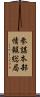 参謀本部情報総局 Scroll