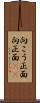 向こう正面 Scroll