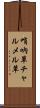 哨吶草 Scroll