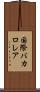国際バカロレア Scroll
