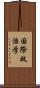 国際政治学 Scroll