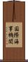 国際海事機関 Scroll