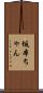 坂本ちゃん Scroll
