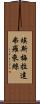 Esmeralda Flores Scroll