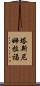 Tasnim Rafa Scroll