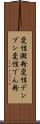 変性澱粉 Scroll