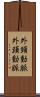 外頸動脈 Scroll