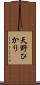 天野ひかり Scroll