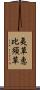 夷草 Scroll