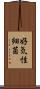 好気性細菌 Scroll