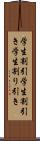 学生割引 Scroll