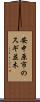 安中原市のスギ並木 Scroll
